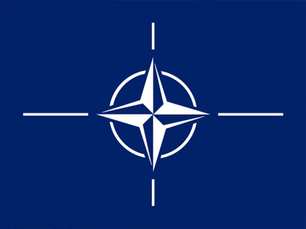 Image of NATO flag links to news item
