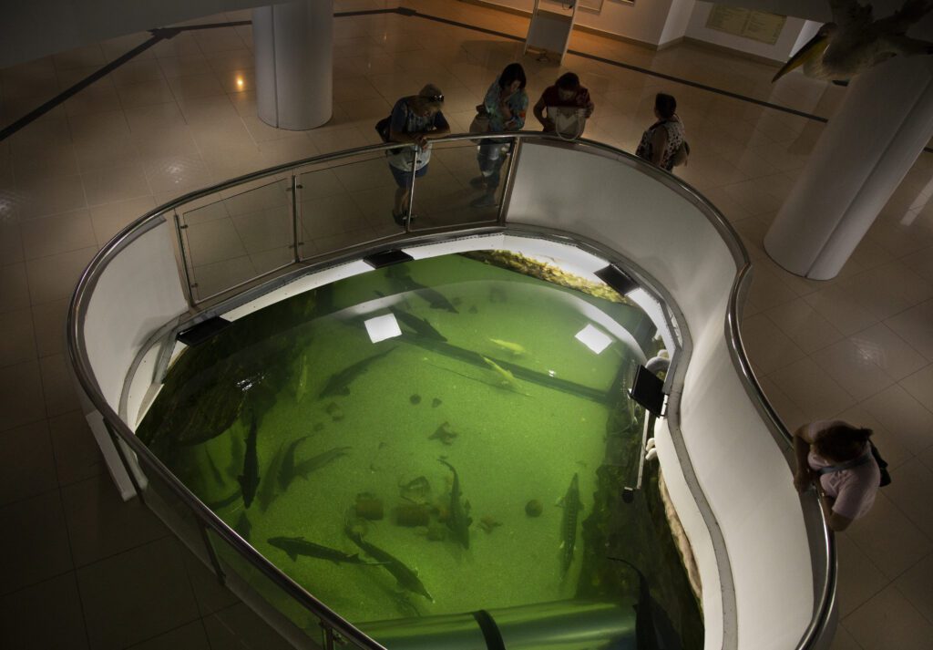 Image of visitors to the Danube Delta Eco-Tourism Museum Center in Tulcea, Romania